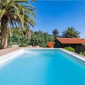 https://las-palmeras-temisas.in-canary-islands.com